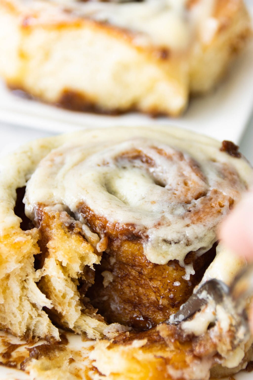 The Best Cinnamon Rolls {Extra Soft and Moist} Foodelicacy