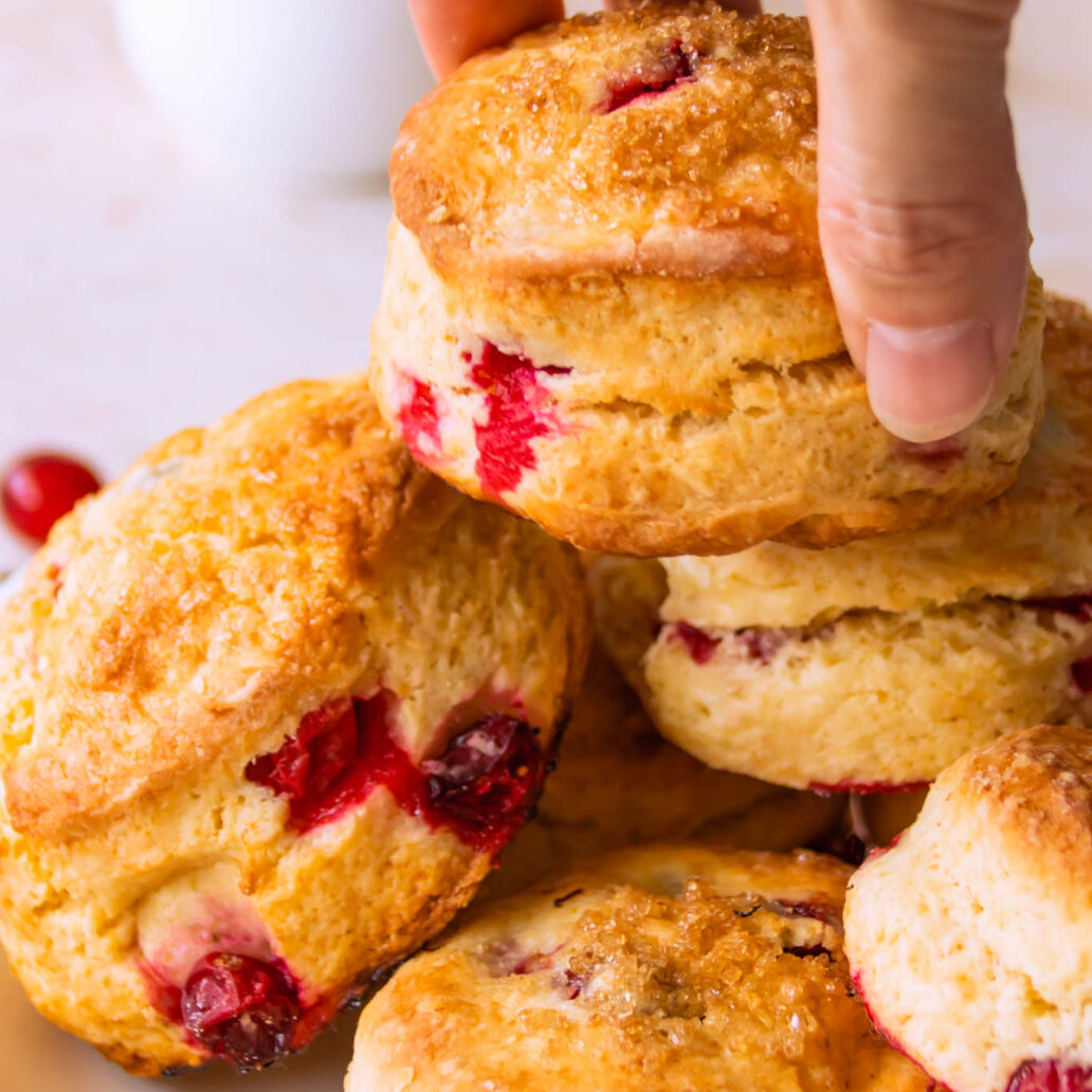 Easy Cranberry Yogurt Scones {Fail Proof Recipe!} Foodelicacy